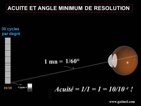 L'acuité visuelle en dixièmes est calculée comme l'inverse de l'angle minimum de résolution exprimé en minutes d'arc. 30 cycles par degré correspondent à un pouvoir de résolution de 1 min d'arc, soit 10/10.