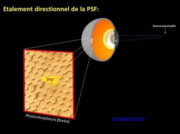 image fantome diplopie monculaire vision dédoublée