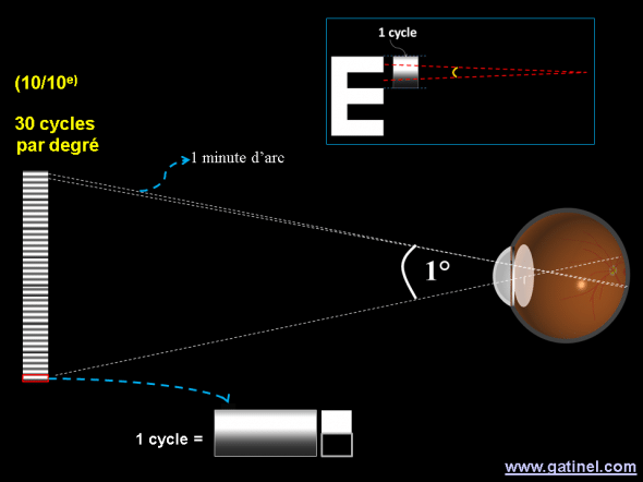Représentation des correspondances entre cycles par degré et acuité visuelle