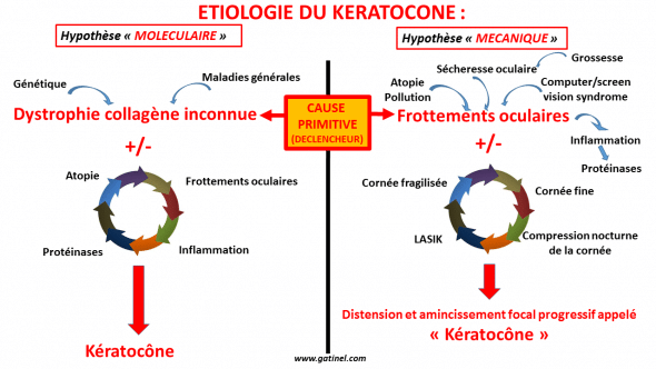 Etiologie du keratocone